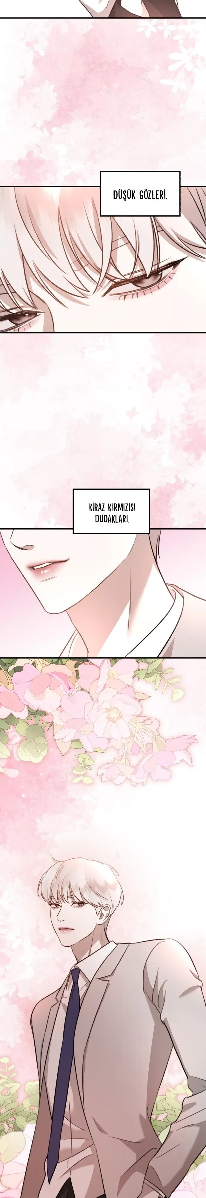 Sayfa 5
