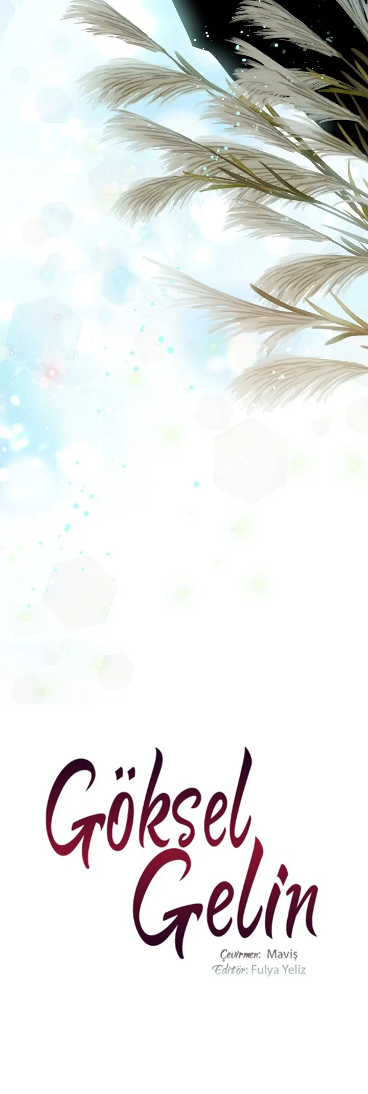 Sayfa 3