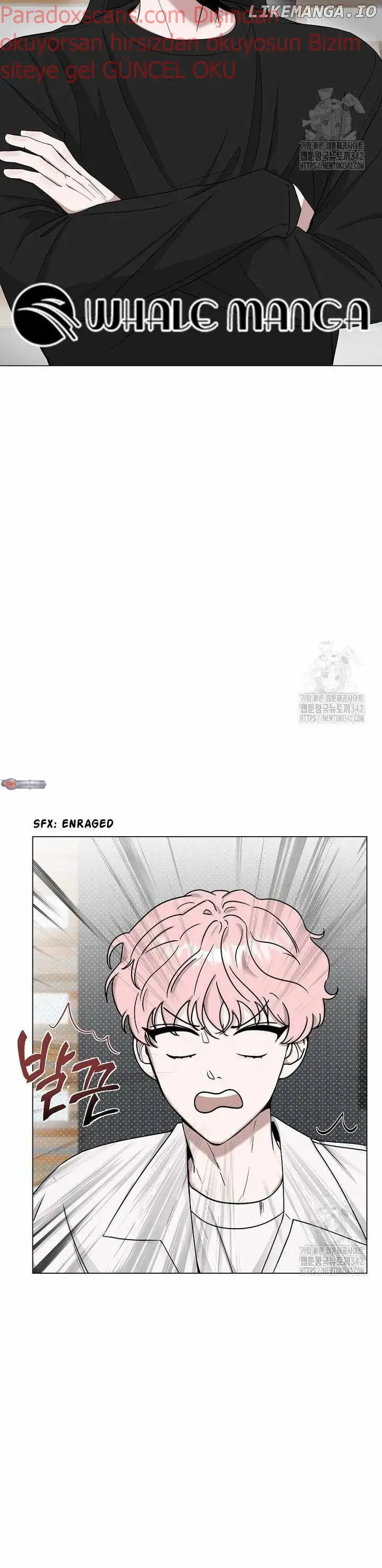 Sayfa 4