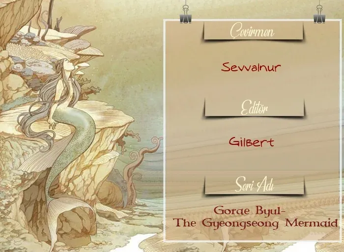 Sayfa 1