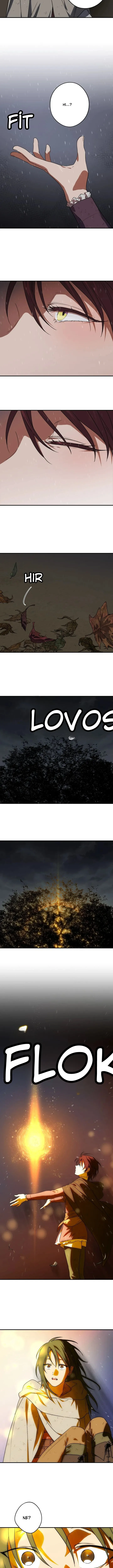 Sayfa 6