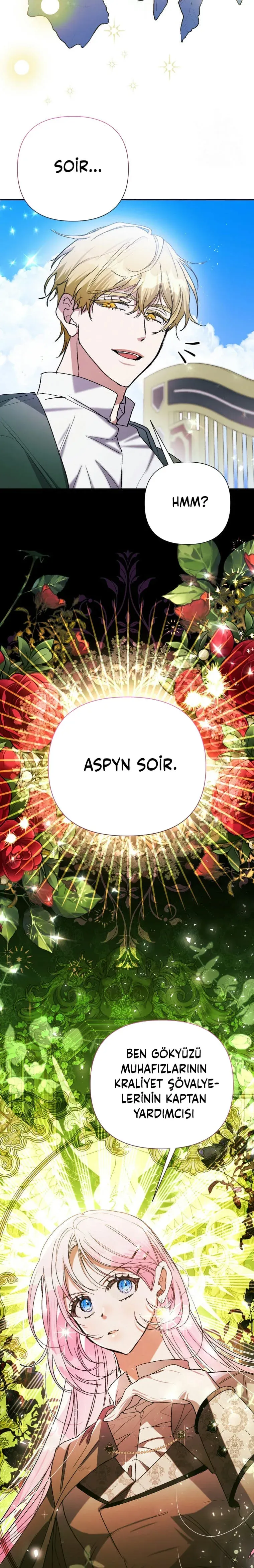 Sayfa 2