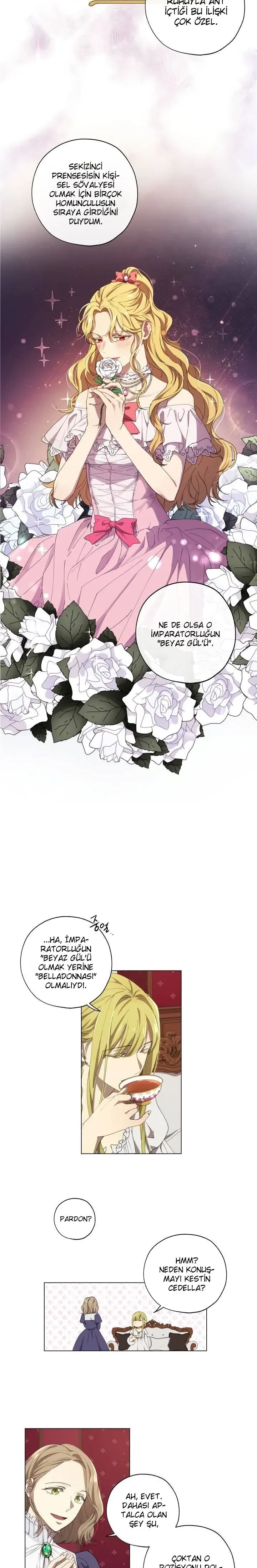 Sayfa 6