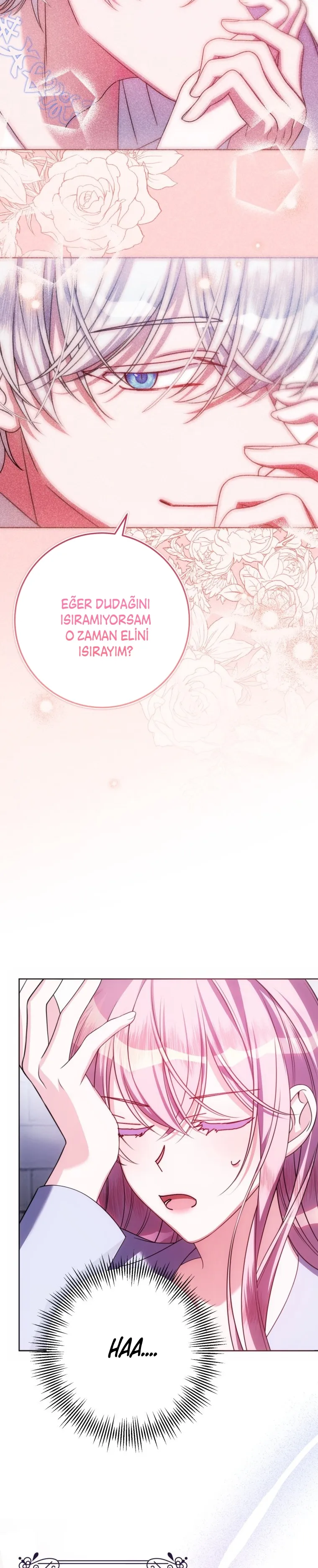 Sayfa 5