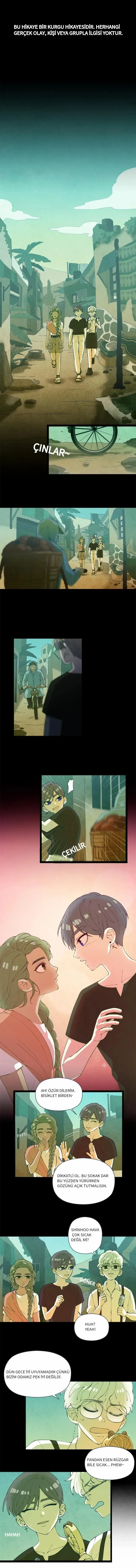 Sayfa 1