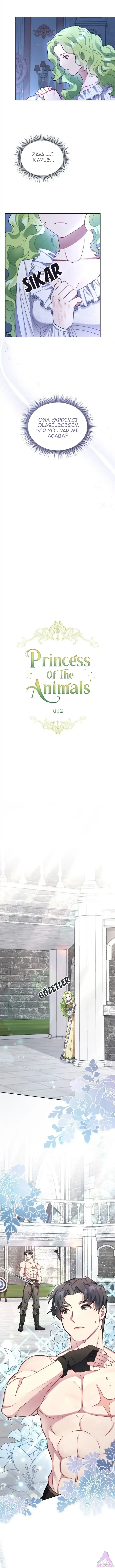 Sayfa 6