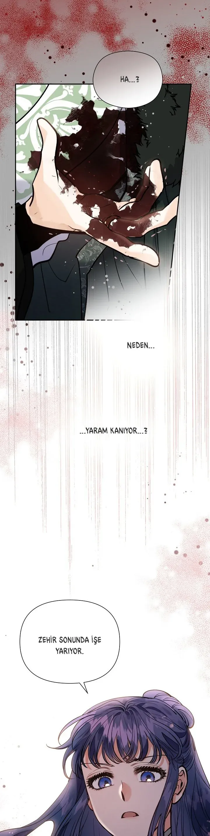 Sayfa 4