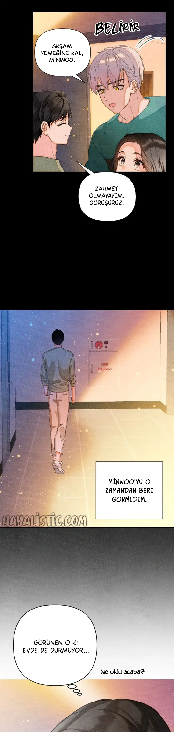 Sayfa 4