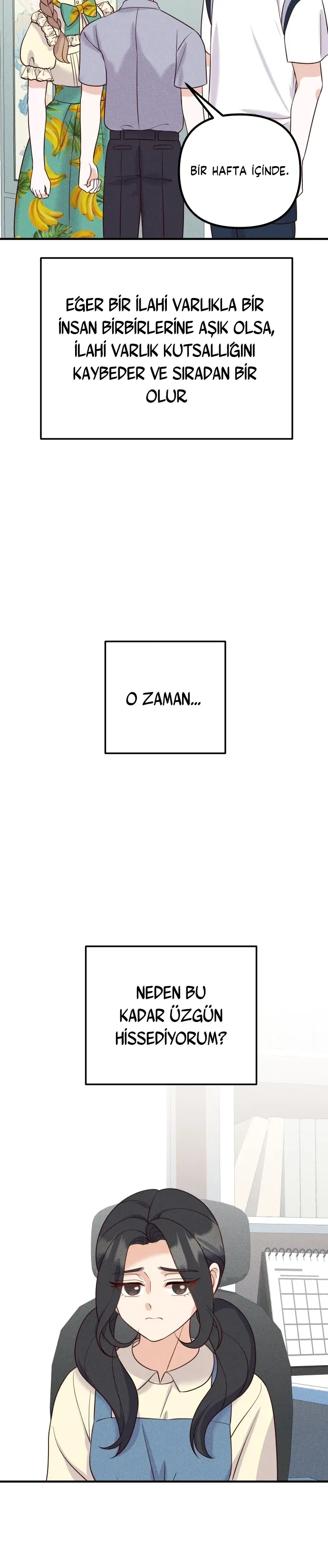 Sayfa 5