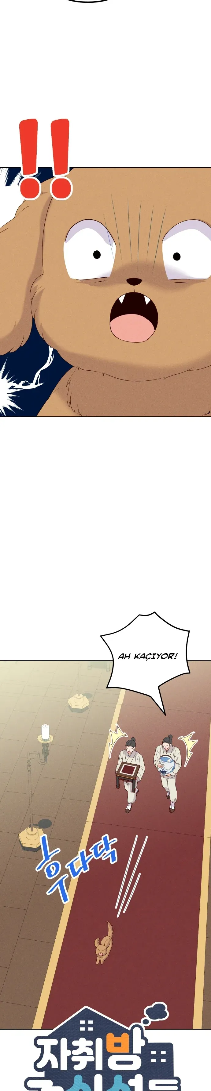 Sayfa 4