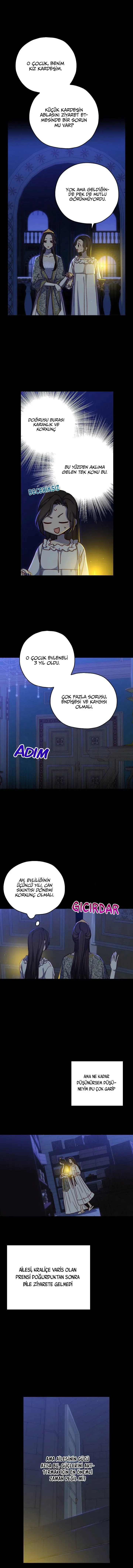 Sayfa 5