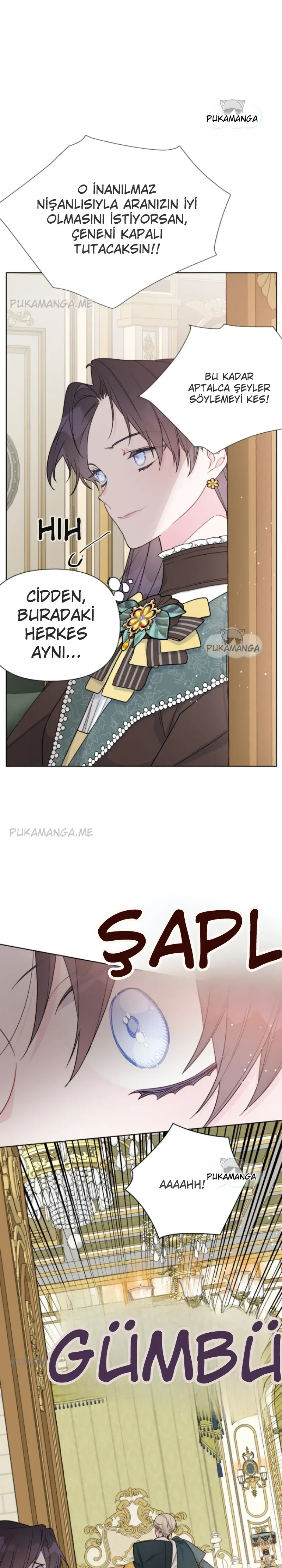 Sayfa 5