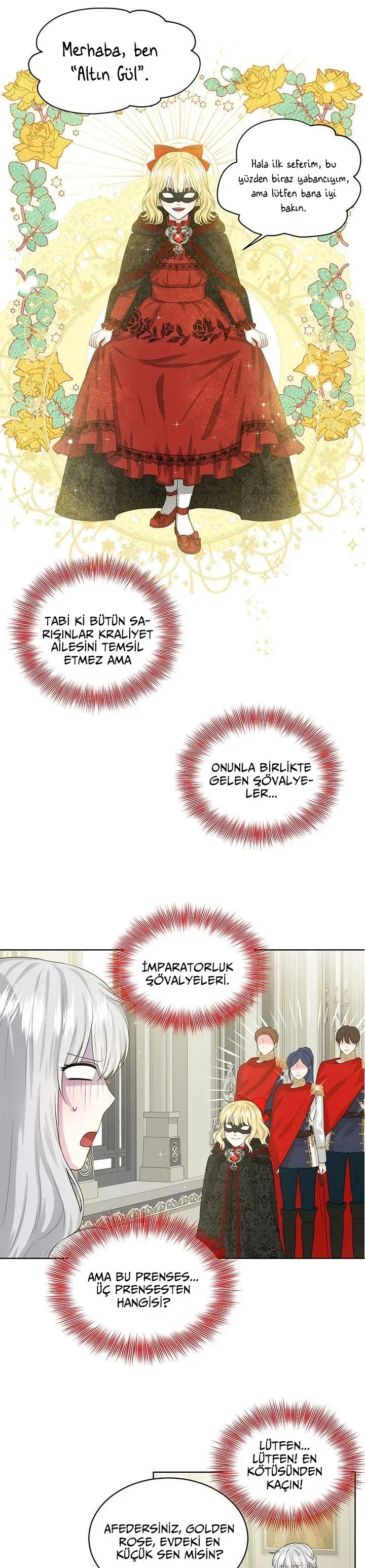 Sayfa 2