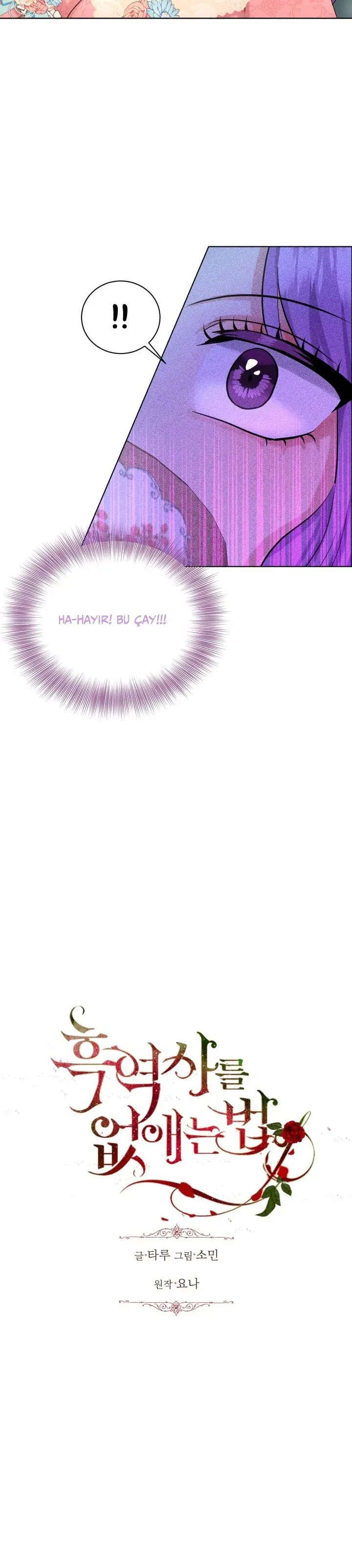 Sayfa 5
