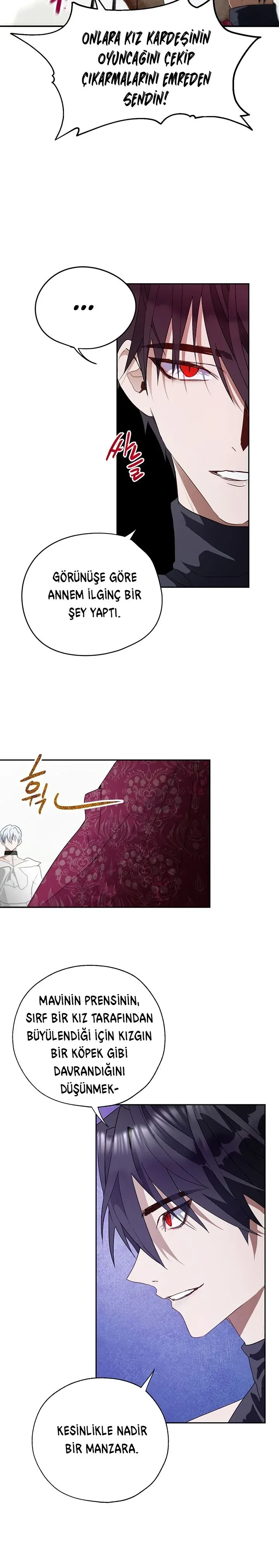 Sayfa 5