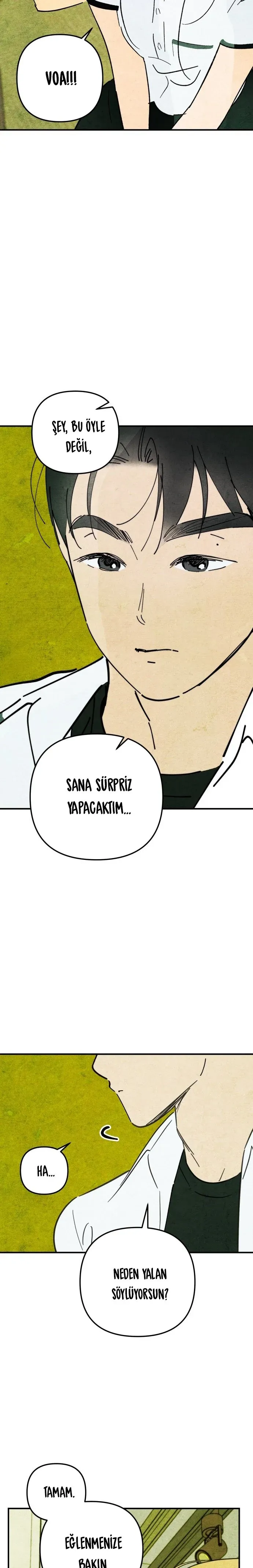 Sayfa 4