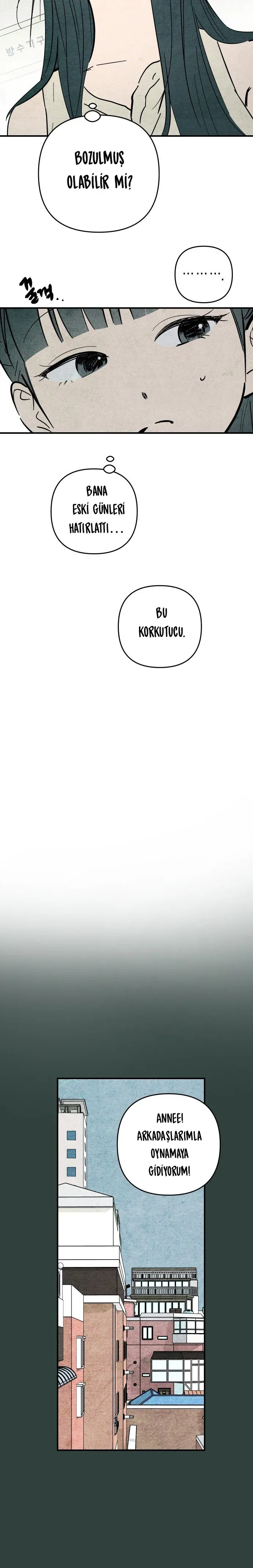 Sayfa 5