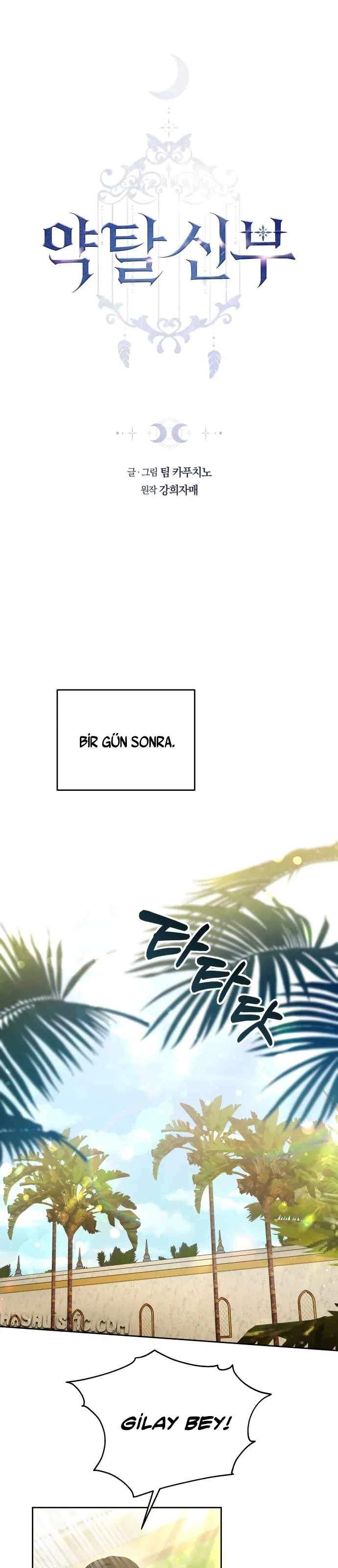 Sayfa 1