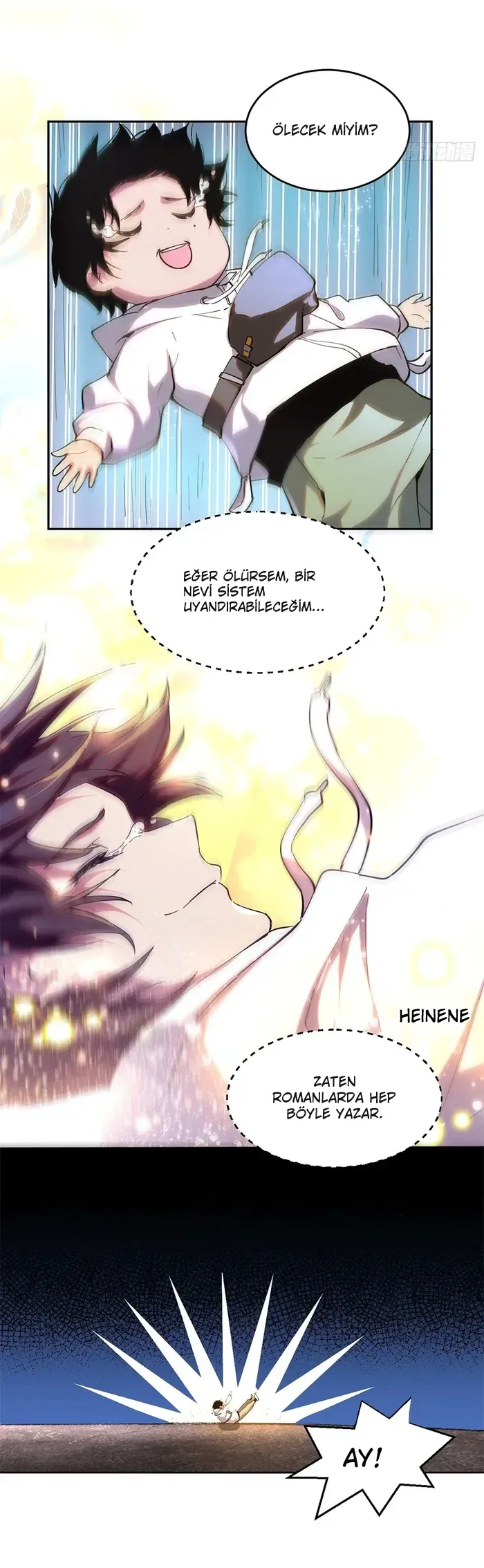 Sayfa 5