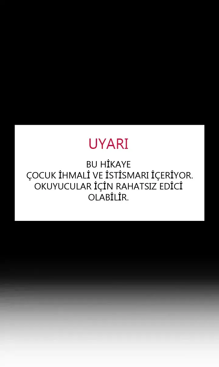 Sayfa 1