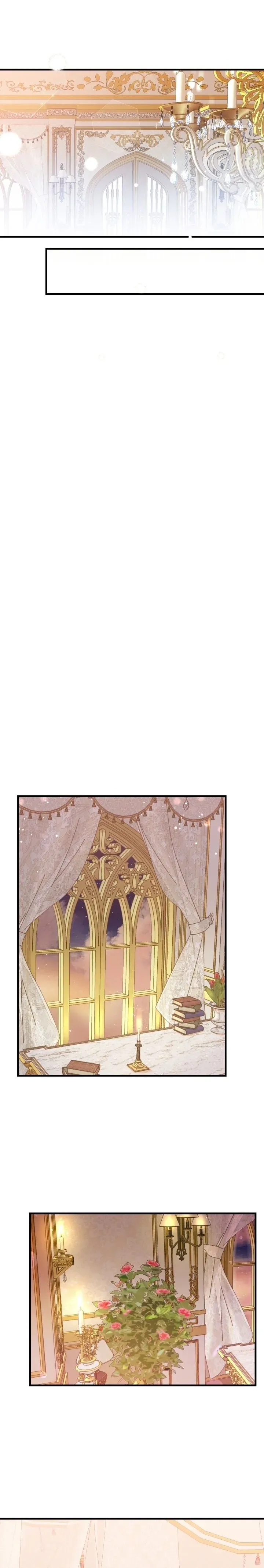 Sayfa 5
