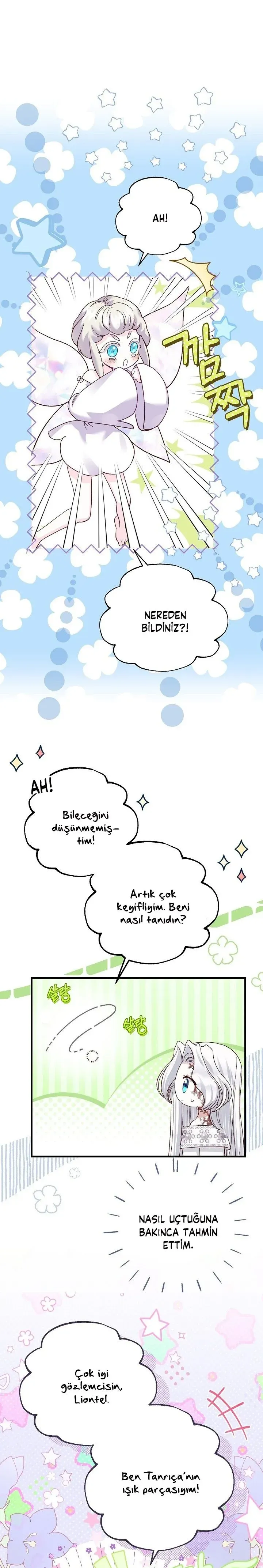 Sayfa 2