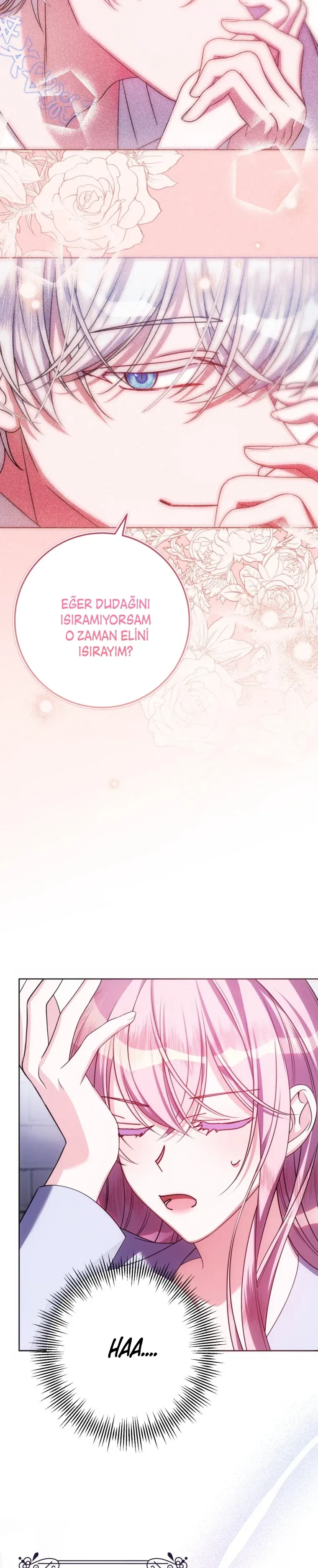 Sayfa 5