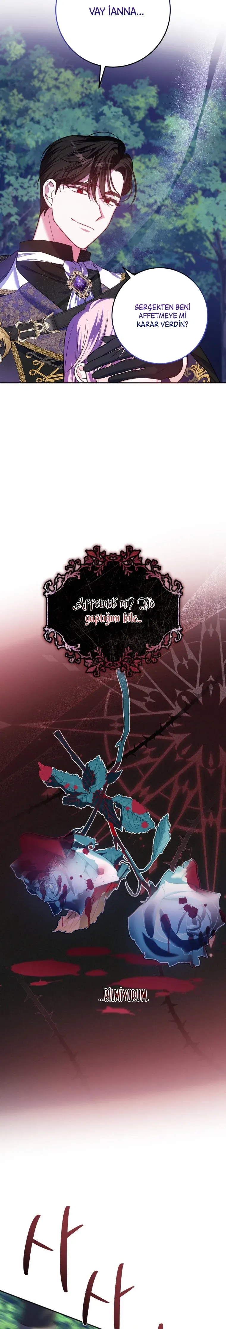 Sayfa 5