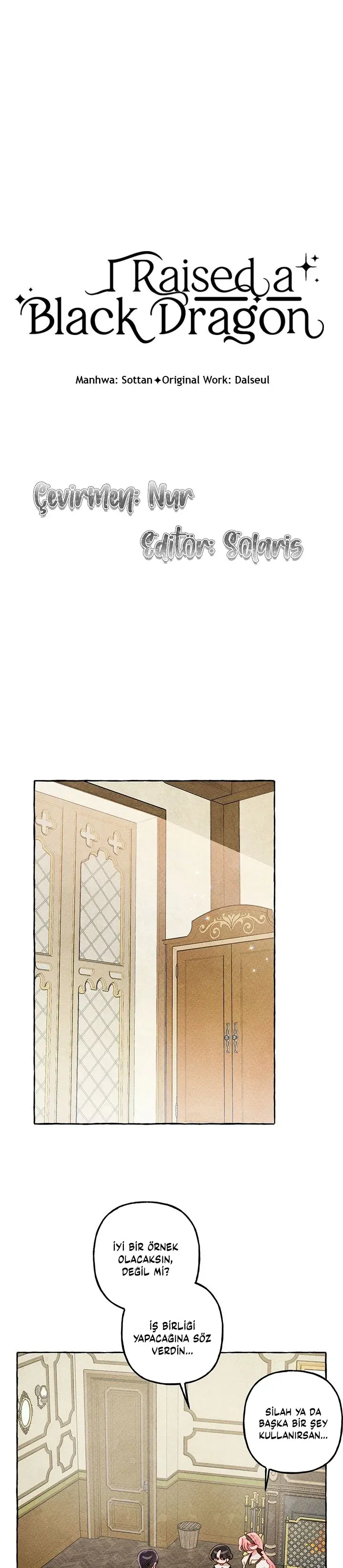 Sayfa 2