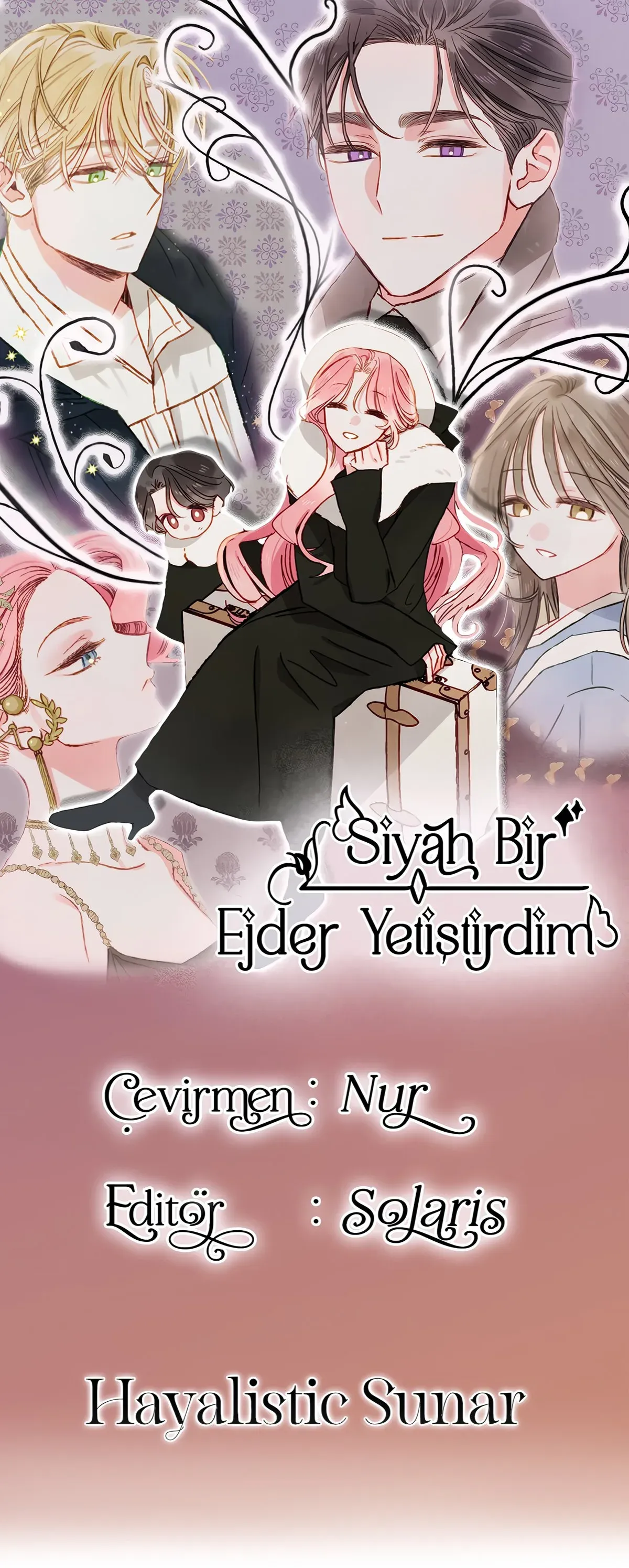 Sayfa 1