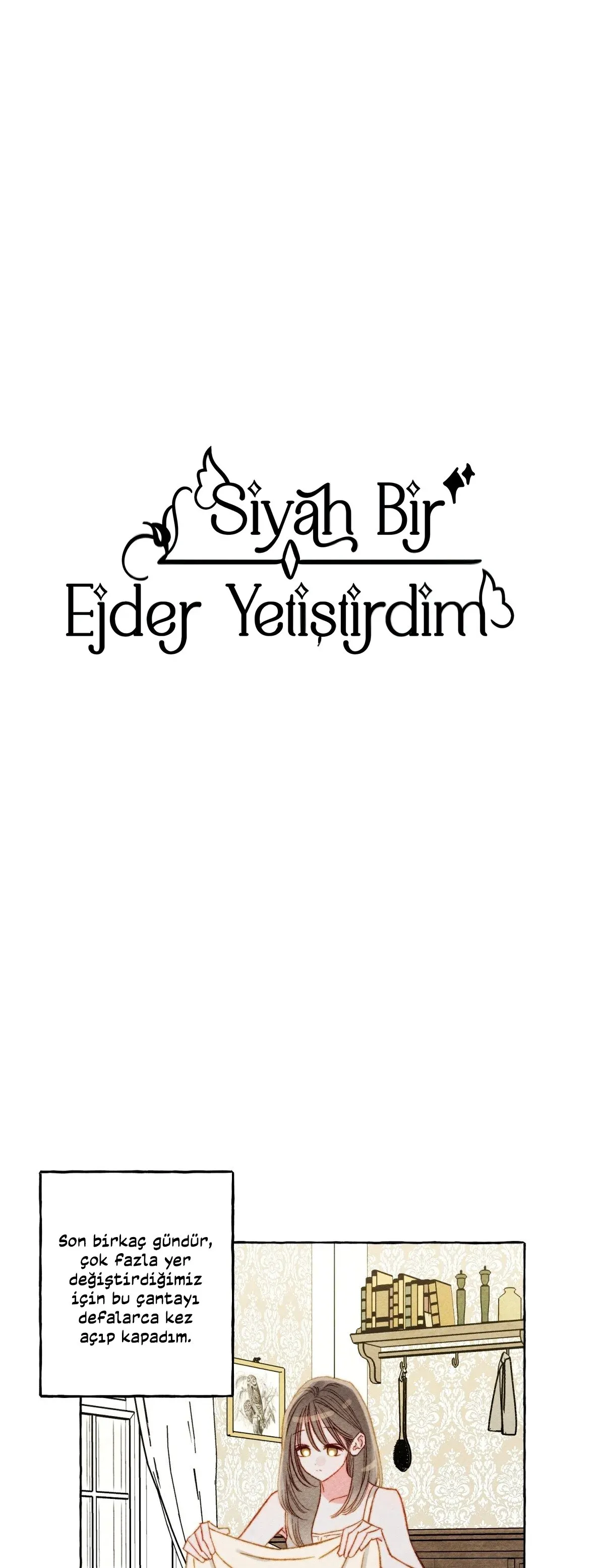 Sayfa 2