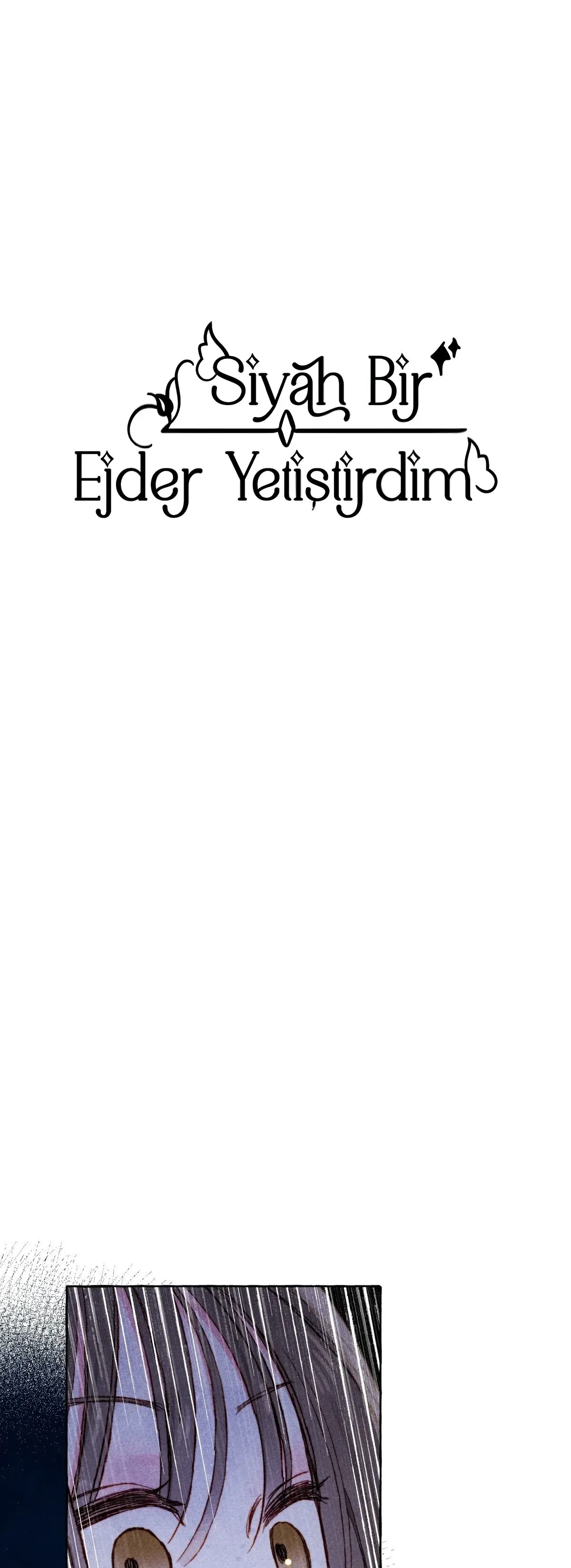Sayfa 2