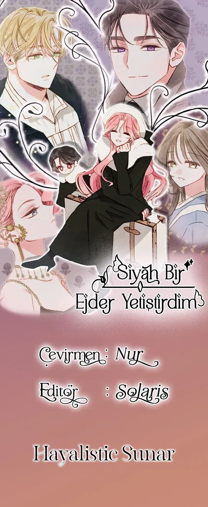 Sayfa 1