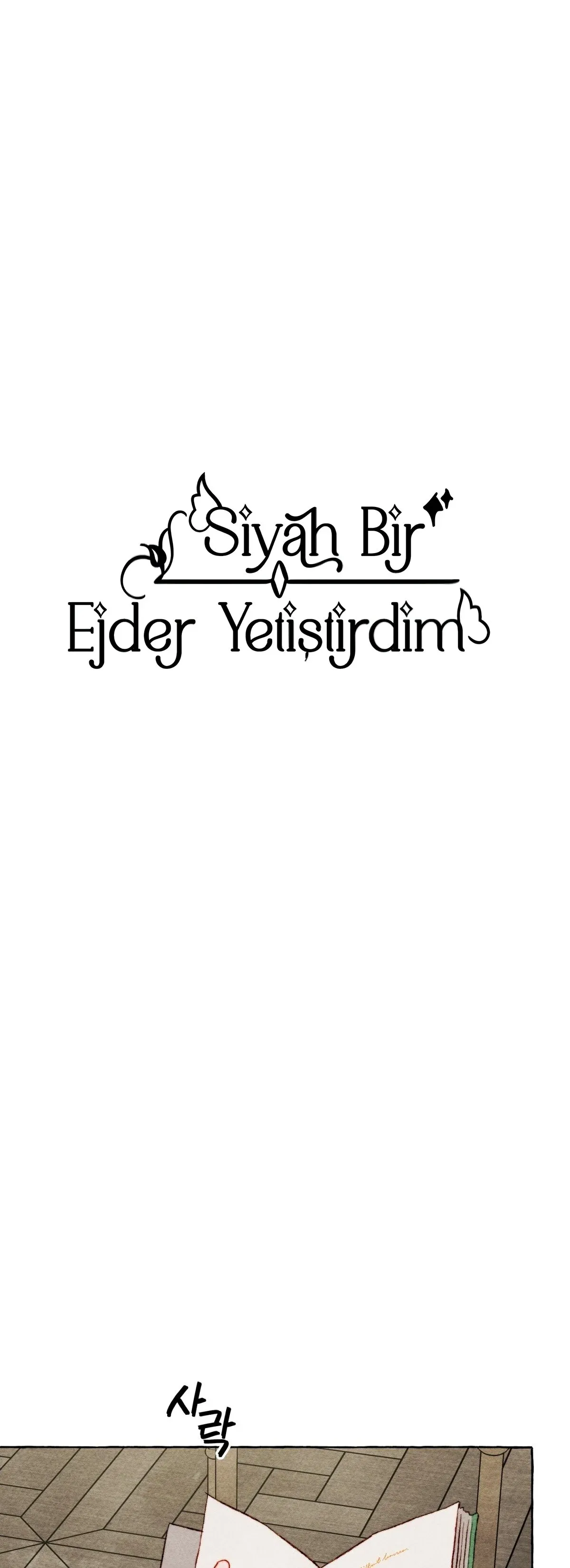 Sayfa 2