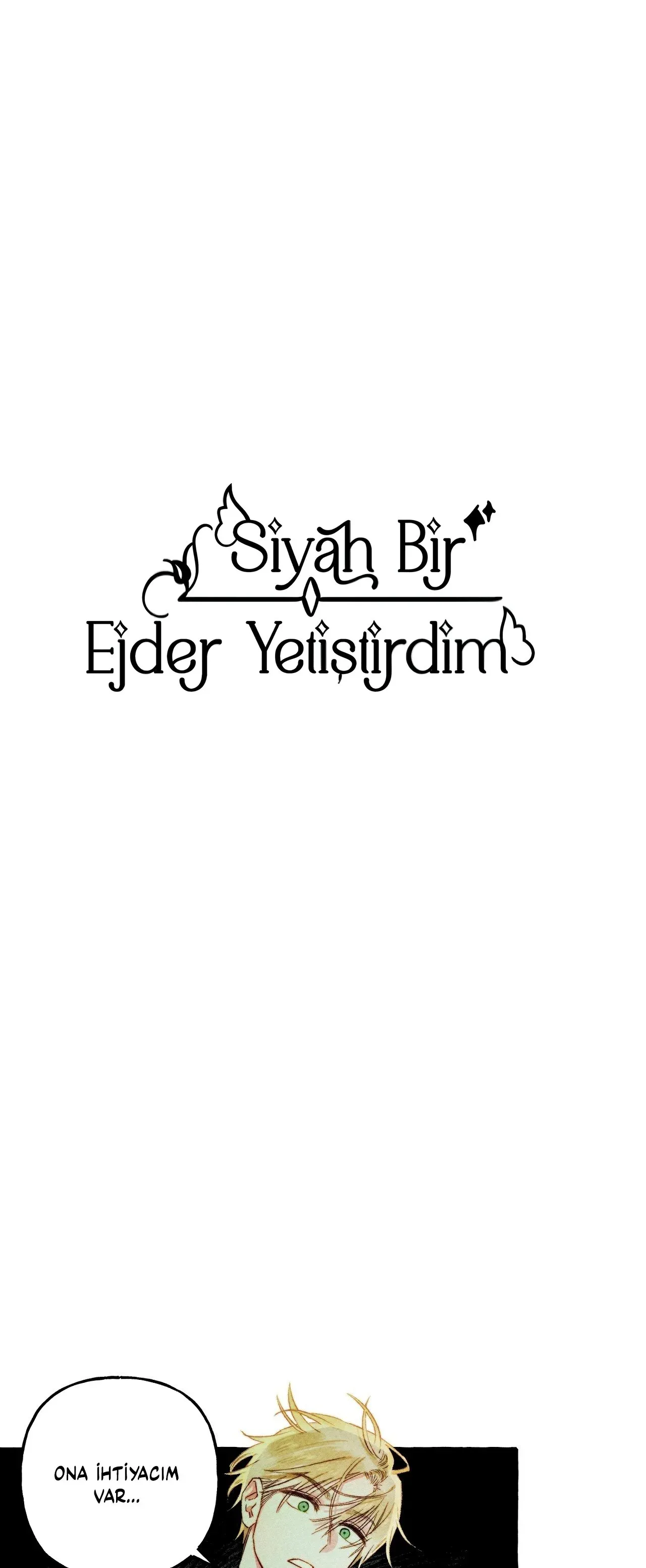 Sayfa 2