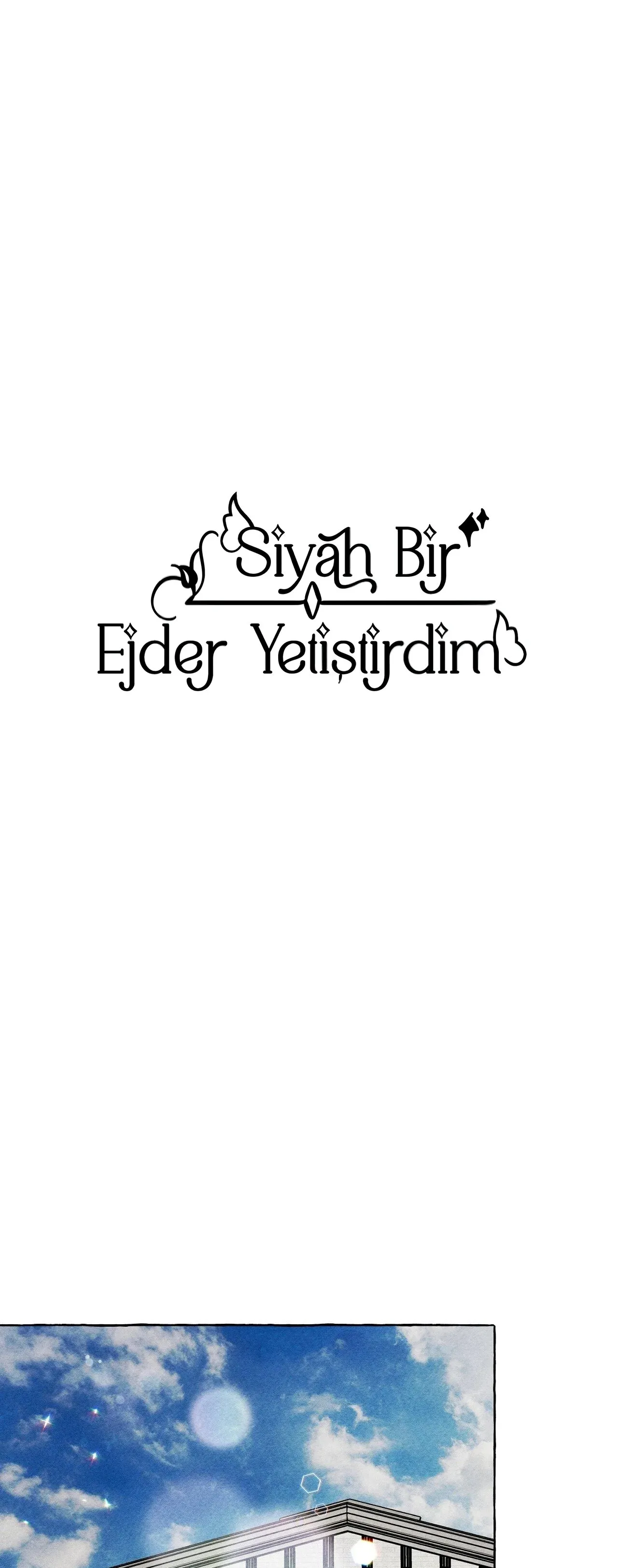 Sayfa 2