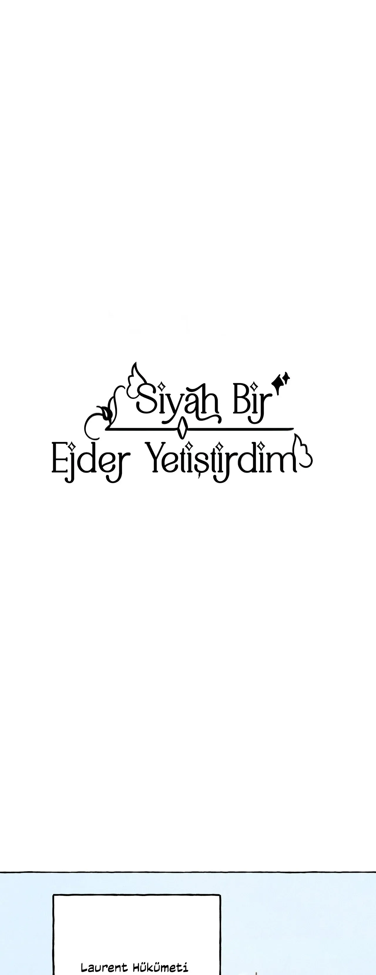 Sayfa 2