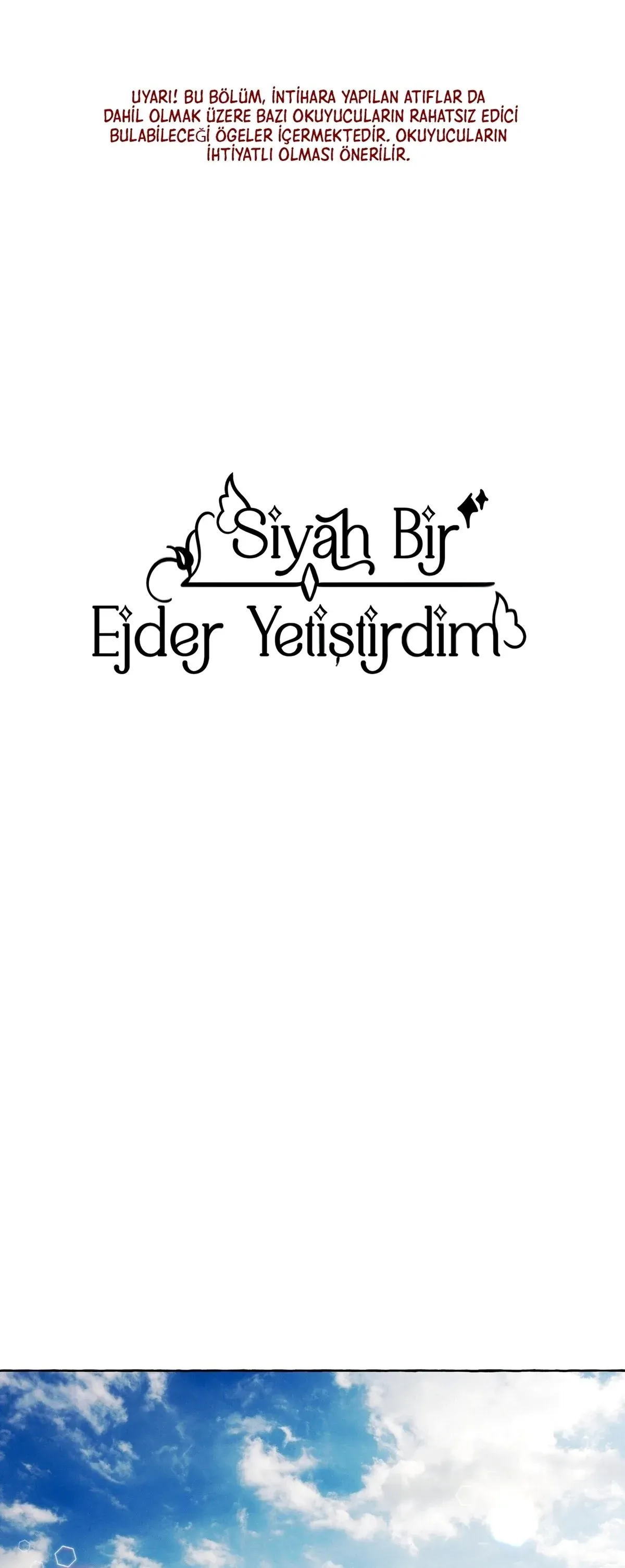 Sayfa 2