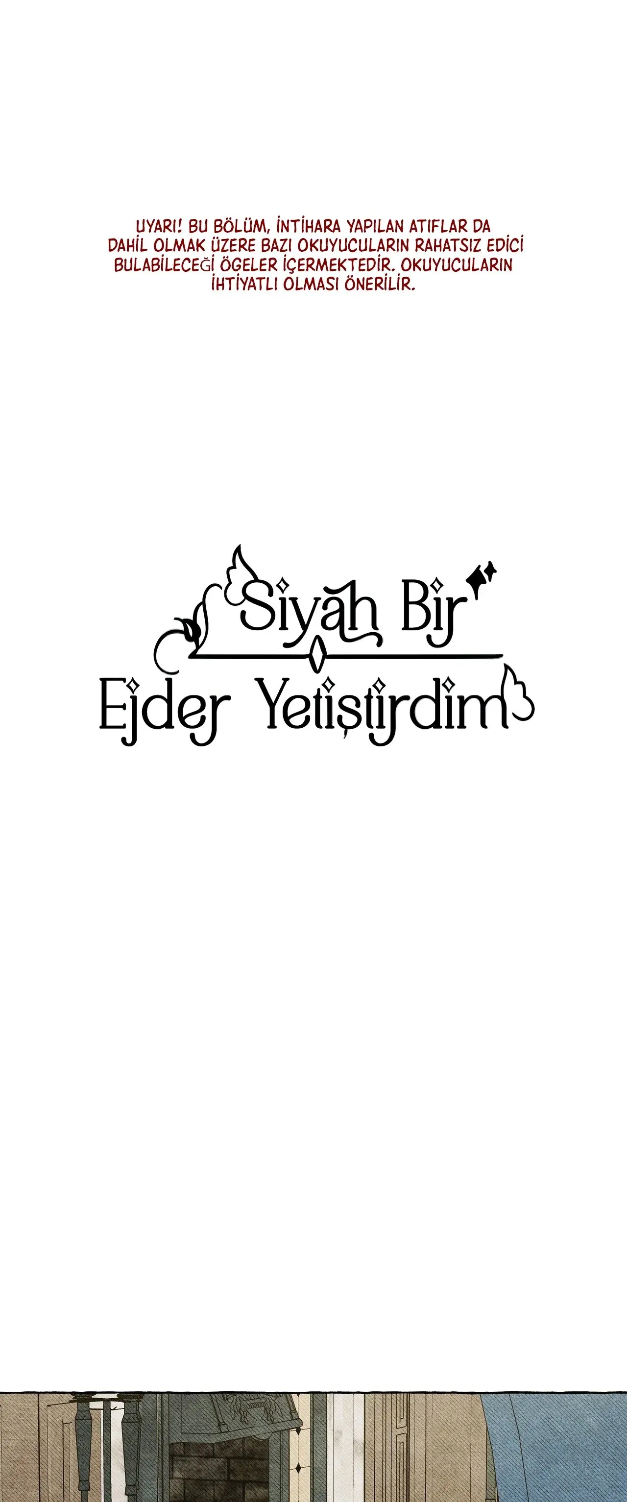 Sayfa 2