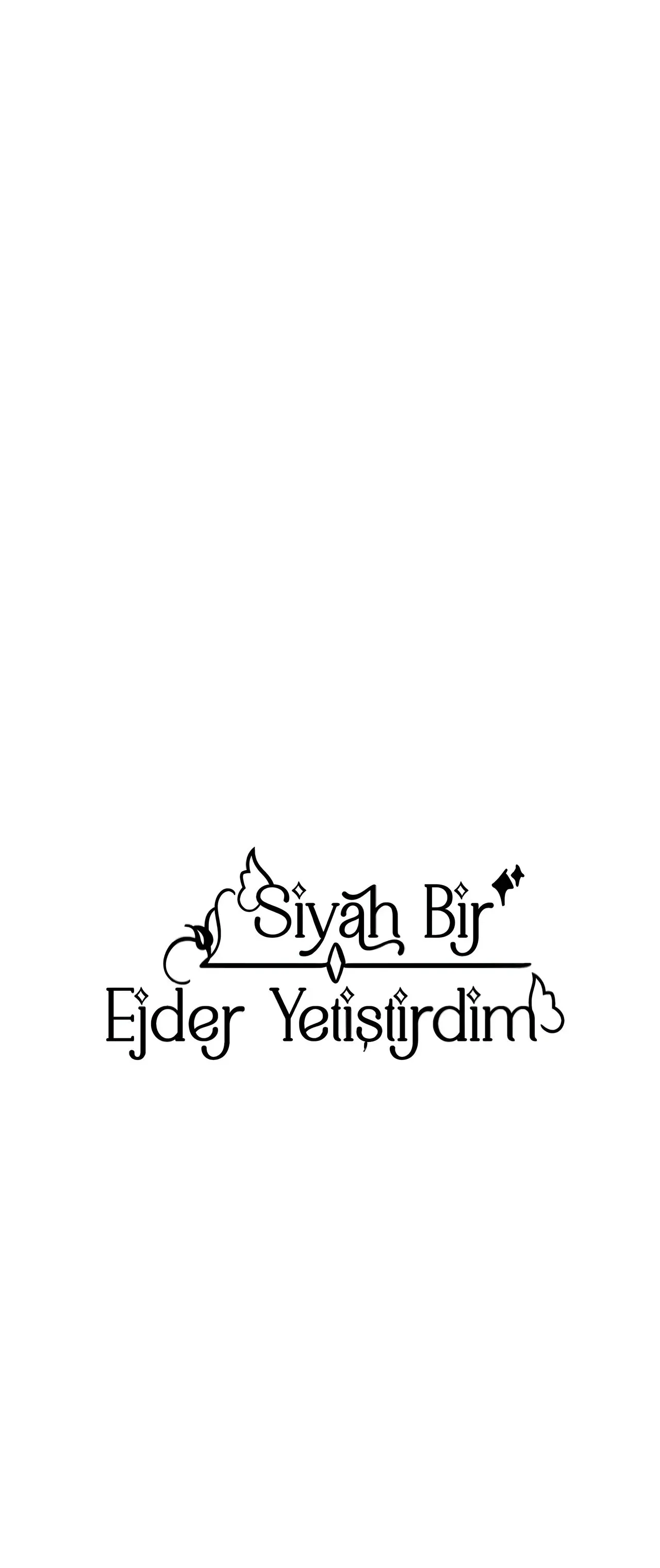 Sayfa 3