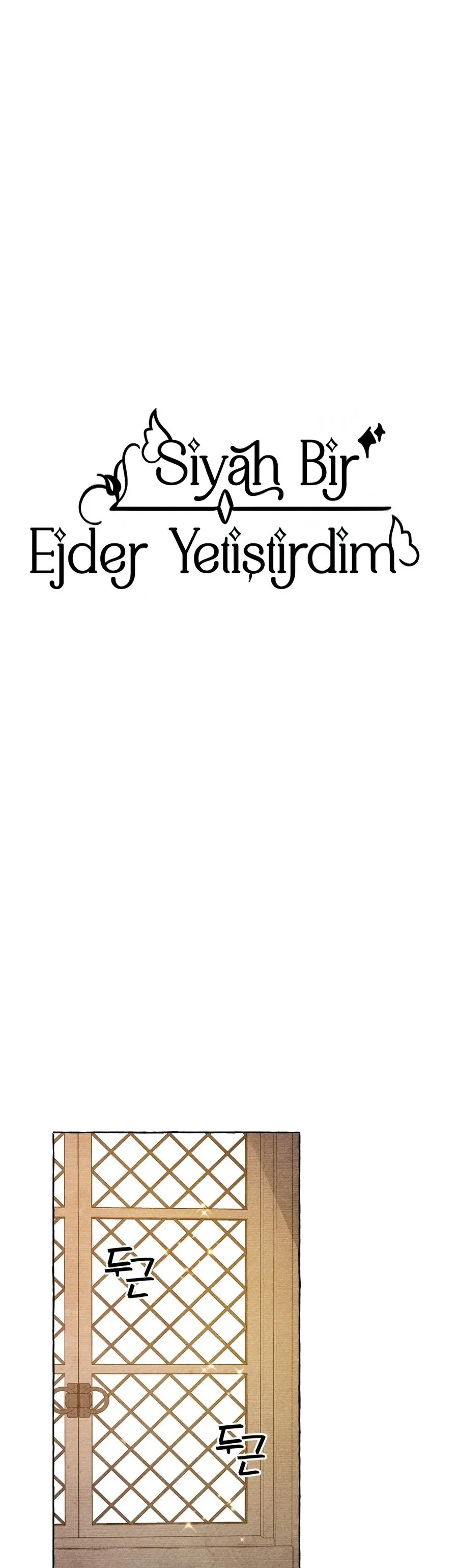 Sayfa 1