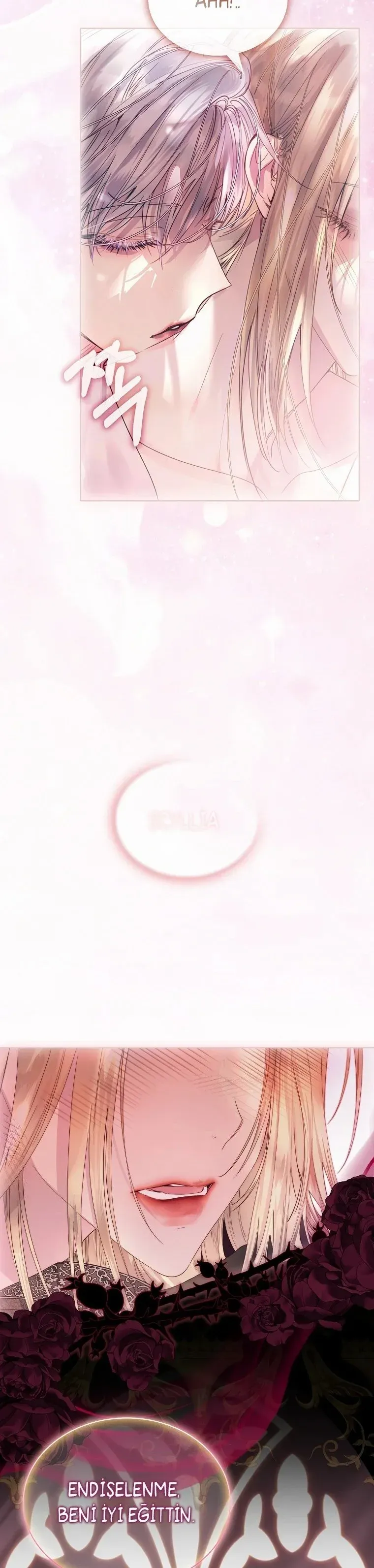 Sayfa 5