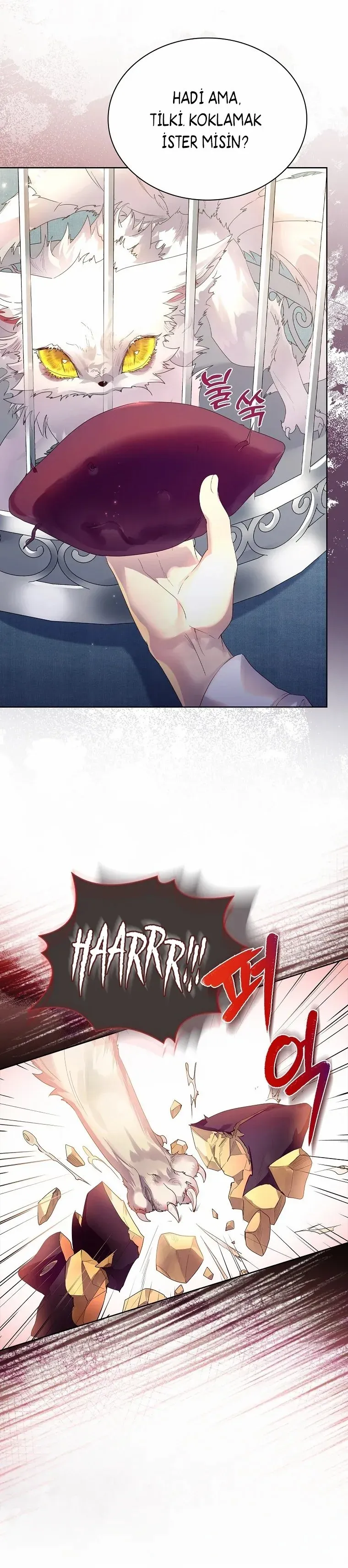 Sayfa 5
