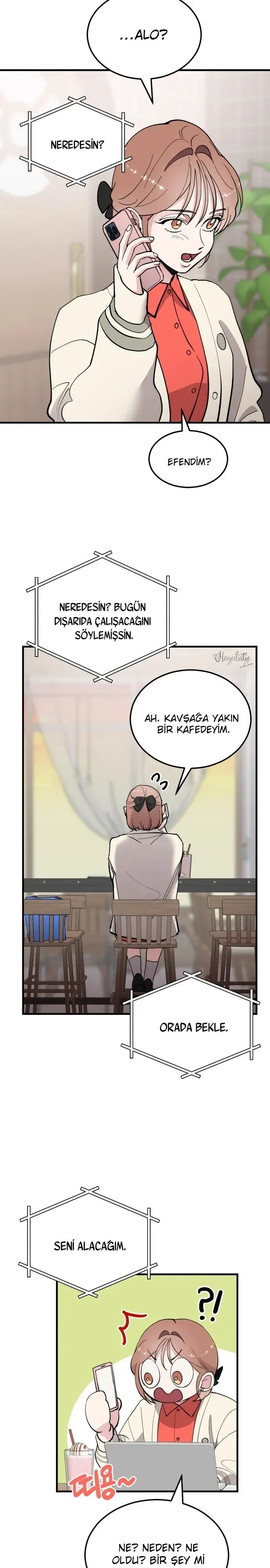 Sayfa 5