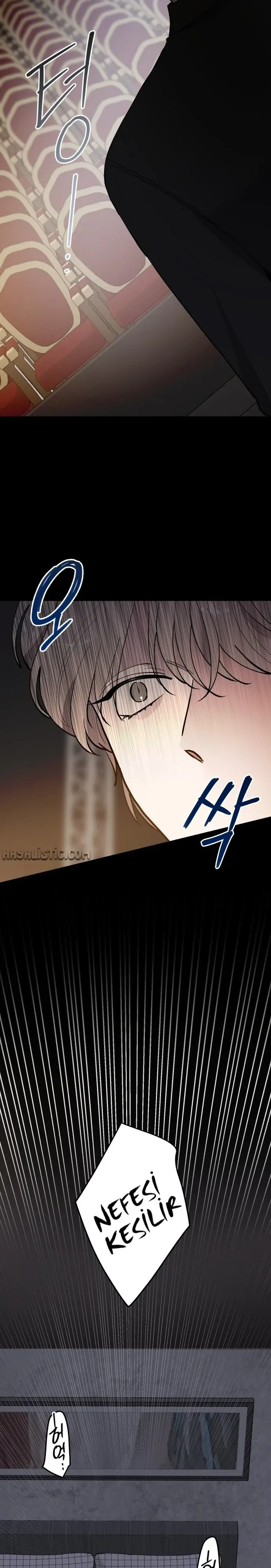 Sayfa 5