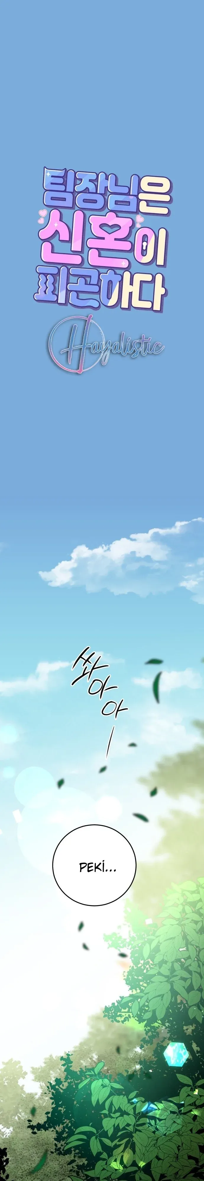 Sayfa 2