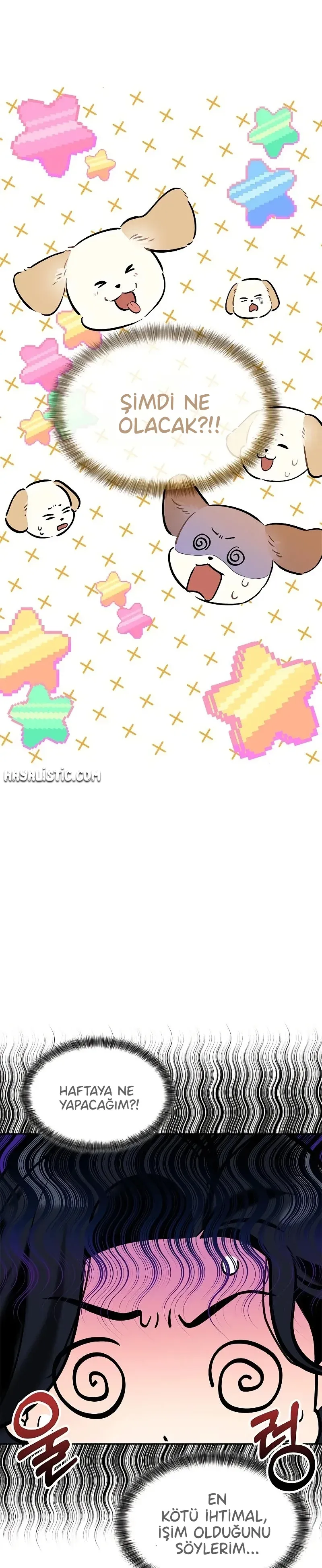 Sayfa 5