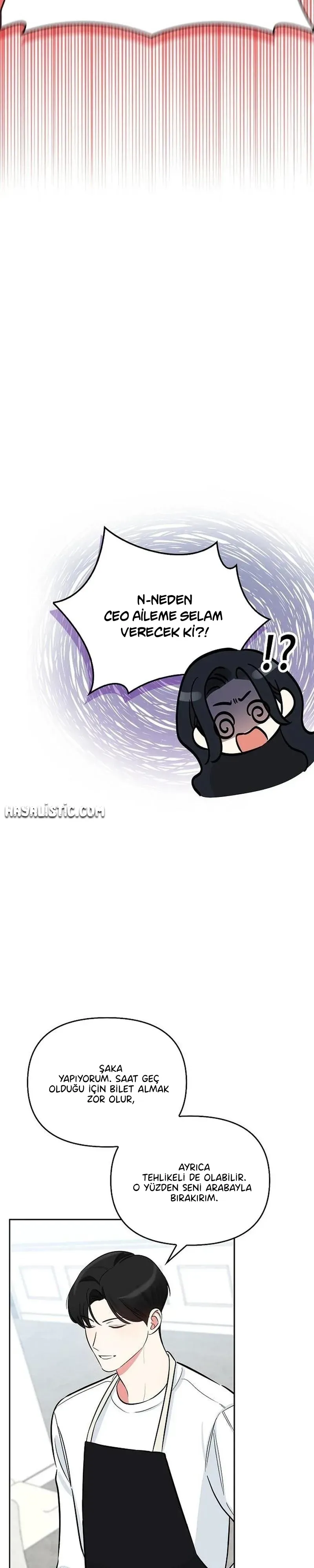 Sayfa 4