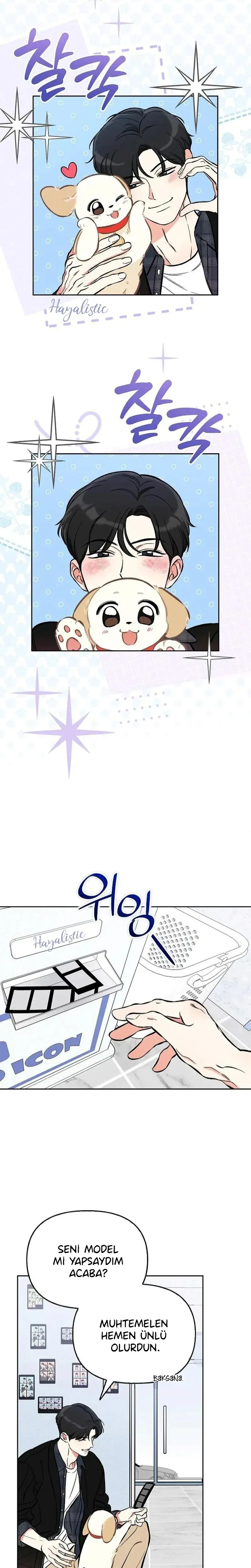 Sayfa 5