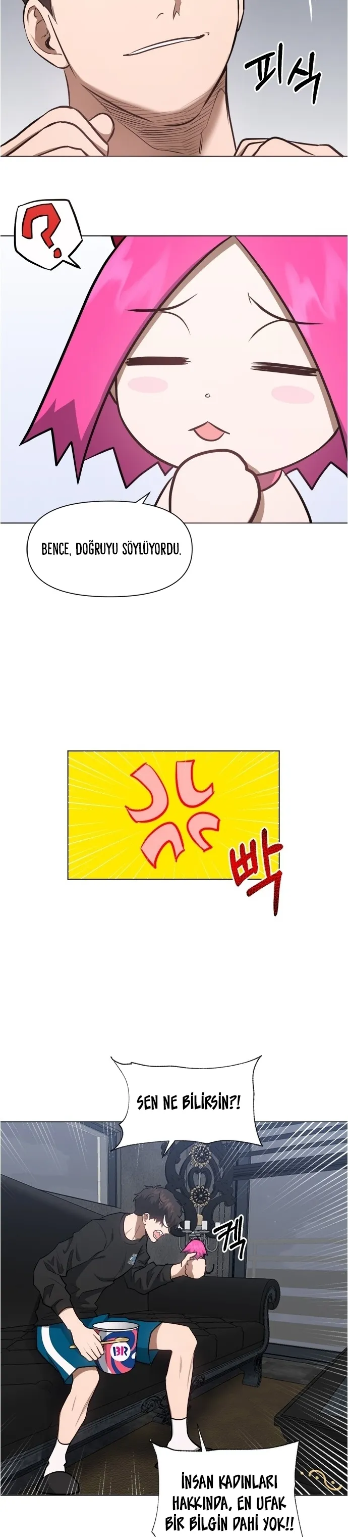 Sayfa 5